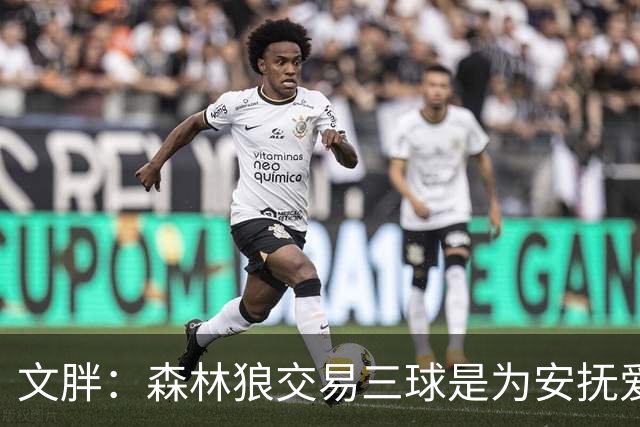 文胖：森林狼交易三球是为安抚爱德华兹 他一赛季被包夹近1000次